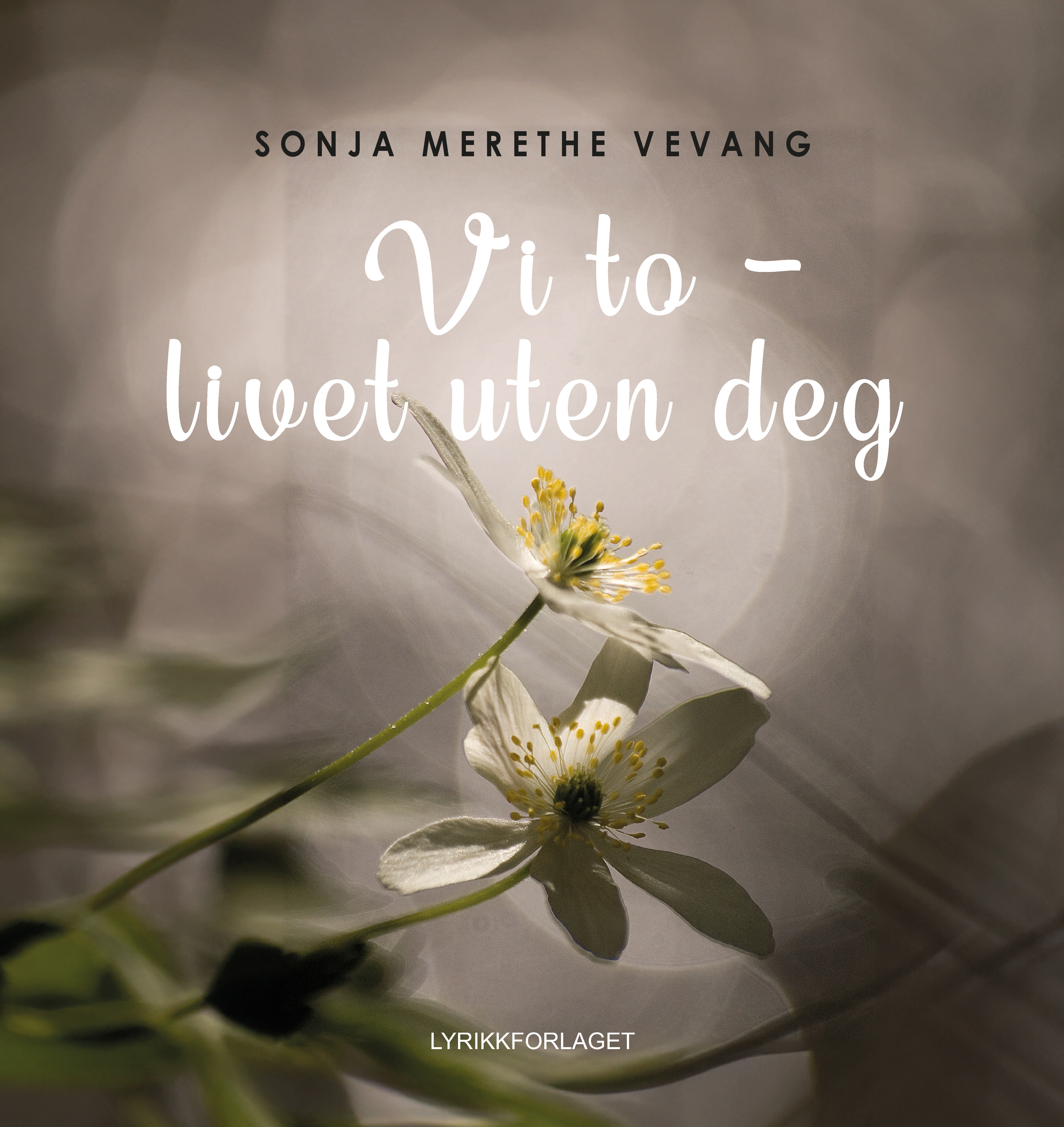 Vi to – livet uten deg